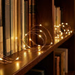 Guirlande lumineuse posée le long d'une étagère de livres (mise en scène)